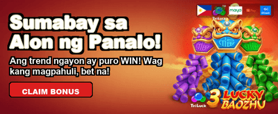 Exclusive Bonuses Await You